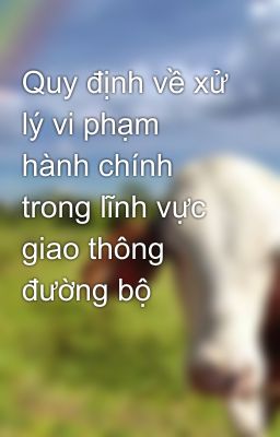 Quy định về xử lý vi phạm hành chính trong lĩnh vực giao thông đường bộ