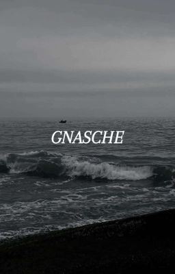 [Rnis/Rinisa] GNASCHE