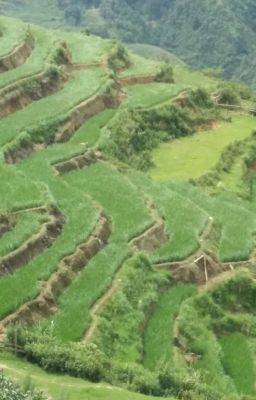 Sapa - Lào Cai - Hà Nội - Hạ Long- Ninh Bình