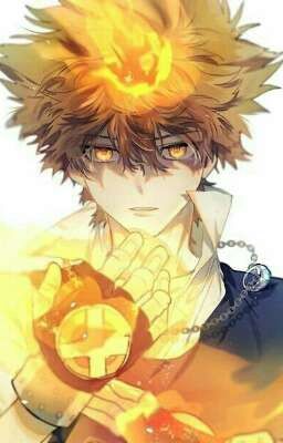 sawada tsunayoshi | mức độ nhất định