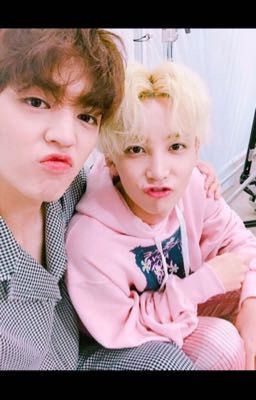 [Seungcheol & Jeonghan] Mối tình đầu bao giờ cũng quyến luyến.