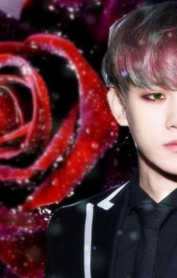 [SHORT FIC] [ChanBaek] Nhật kí Ma cà rồng (chap 1) [ym]