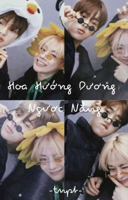 Shortfic ChanBin: Hoa Hướng Dương Ngược Nắng