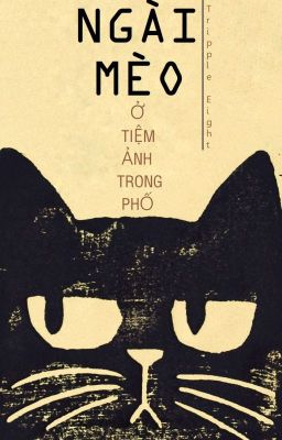 [SONG KÍNH/Vi Vi Di Tiếu] NGÀI MÈO Ở TIỆM ẢNH TRONG PHỐ