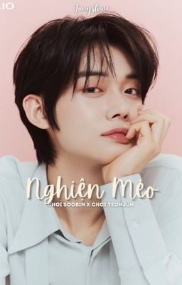 soojun // nghiện mèo