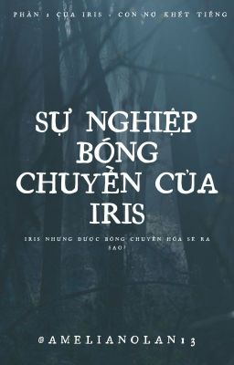 Sự nghiệp bóng chuyền của Iris