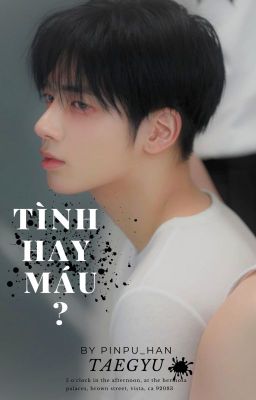 Taegyu | Tình Hay Máu?