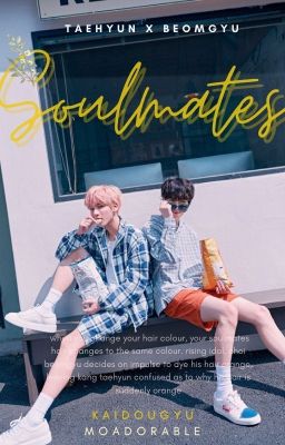 taegyu ✧ trans ✧ soulmates ✔️