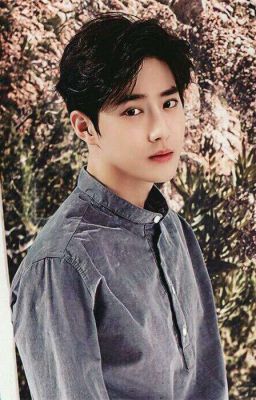 [Tạm Dừng][ Suho-EXO ] [ Fangirl ] Yêu Anh Là Duyên Hay Phận?