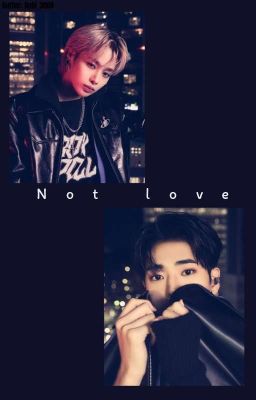 TEMPEST | CHANBIN - NOT LOVE 