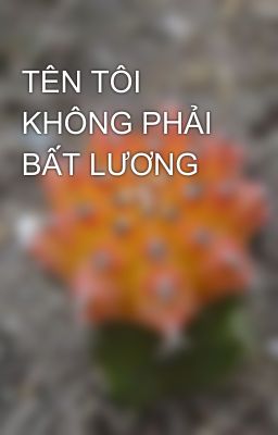 TÊN TÔI KHÔNG PHẢI BẤT LƯƠNG