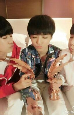 TFBoys+Tứ Diệp Thảo