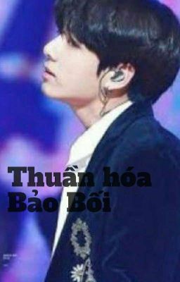 Thuần Hóa Bảo Bối/JungKook X You/