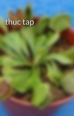 thuc tap