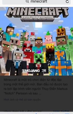 Tiểu sử Minecraft 