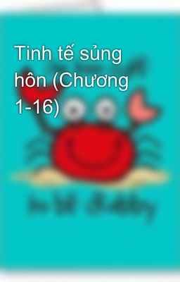 Tinh tế sủng hôn (Chương 1-16)