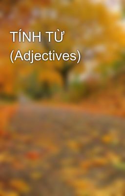 TÍNH TỪ (Adjectives)