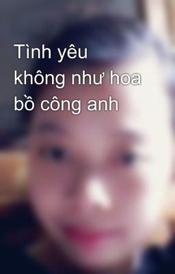 Tình yêu không như hoa bồ công anh