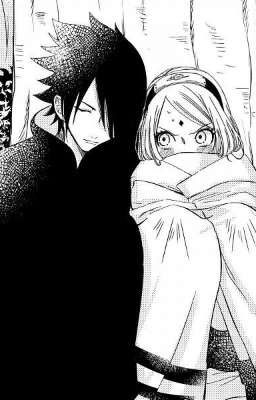 Toàn là về Sasusaku 💞