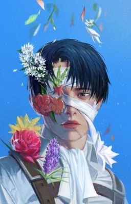 ( Tổng hợp stories) Ereri or Riren ( Snk)