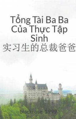 Tổng Tài Ba Ba Của Thực Tập Sinh 实习生的总裁爸爸