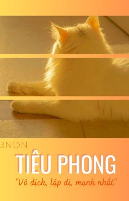 [TR x BSD x JJK / AllDazai] Tiêu phong