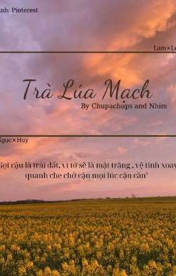 Trà Lúa Mạch