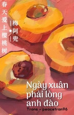 [Trans + Edit/BJYX] Ngày xuân phải lòng anh đào