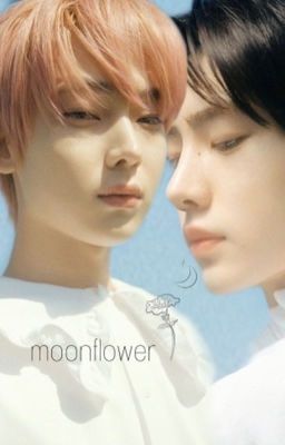 trans│sunsun│moonflower