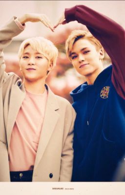 [✓][Transfic][SEVENTEEN][VerKwan] Flowers For Sale