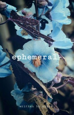 [TREASURE13 || BinHoonKyu] Ephemeral 