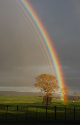 [Trọng sinh] Rainbow (Drop vì quả Na đã lạc mất bé bản thảo T.T)