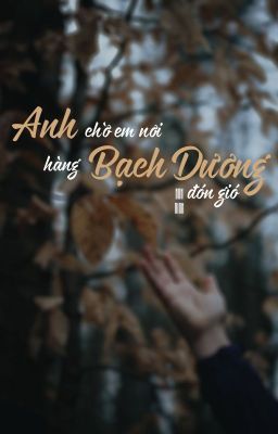 [TRUYỆN NGẮN] ANH CHỜ EM NƠI HÀNG BẠCH DƯƠNG ĐÓN GIÓ | TRUYỆN NGẮN