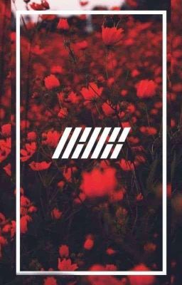 tuyển member | ikon shipper