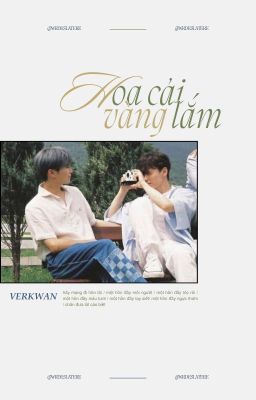 verkwan / hoa cải vàng lắm