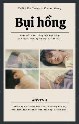 [WZXxHYT] BỤI HỒNG