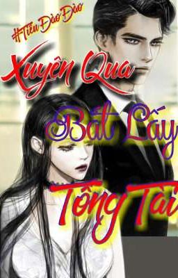 Xuyên Qua : Bắt Lấy Tổng Tài