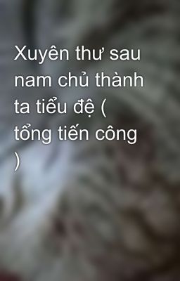 Xuyên thư sau nam chủ thành ta tiểu đệ ( tổng tiến công )